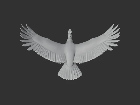 Andean Condor 3D Model