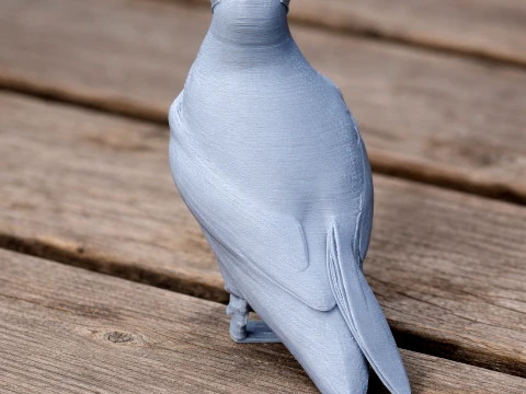 Atlantic Puffin 3D Model