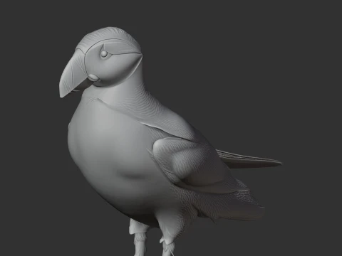Atlantic Puffin 3D Model
