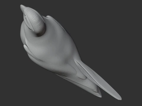 Atlantic Puffin 3D Model