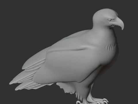 Bald Eagle 3D Model