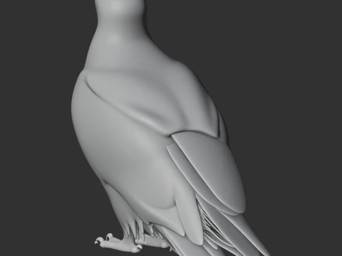 Bald Eagle 3D Model