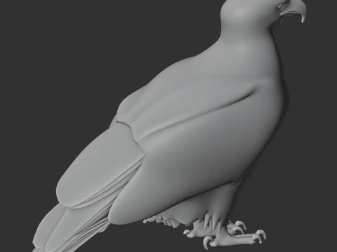 Bald Eagle 3D Model