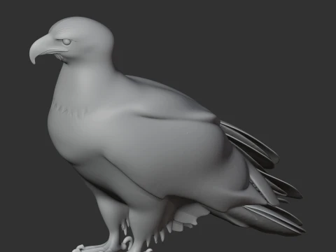 Bald Eagle 3D Model