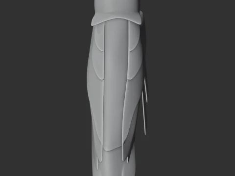 Barn Owl 3D Model