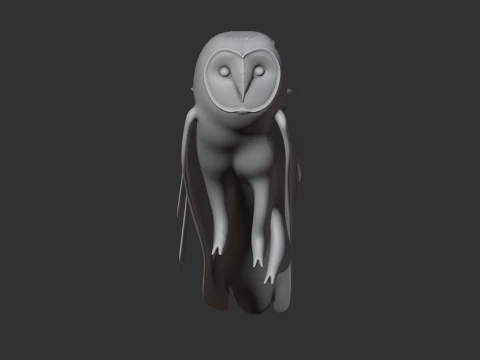 Barn Owl 3D Model