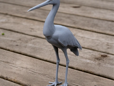 Black Stork 3D Model