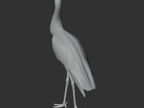 Black Stork 3D Model