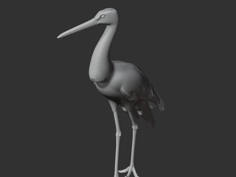 Black Stork 3D Model