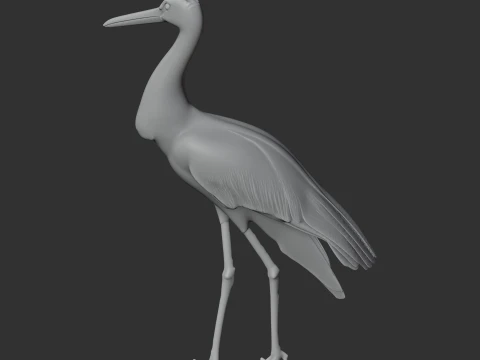 Black Stork 3D Model