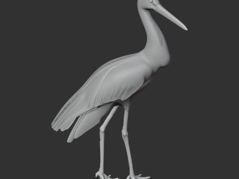 Black Stork 3D Model