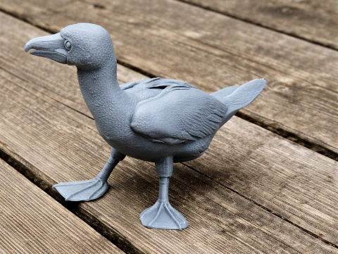 Blue-footed Booby 3D Model