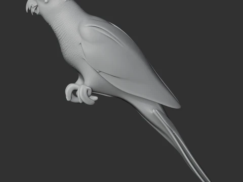 Blue-fronted Amazon 3D Model