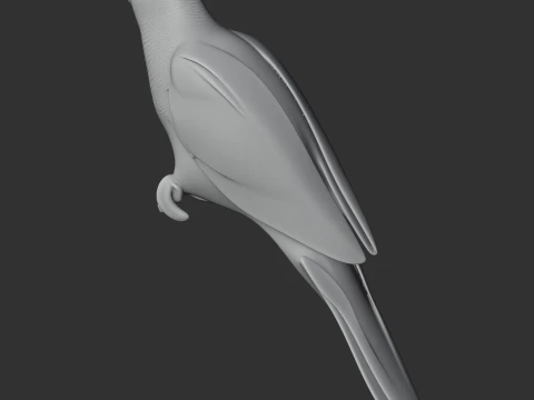 Blue-fronted Amazon 3D Model