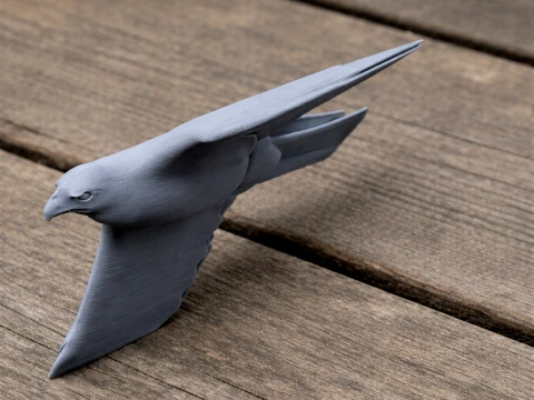 Booted Eagle 3D Model