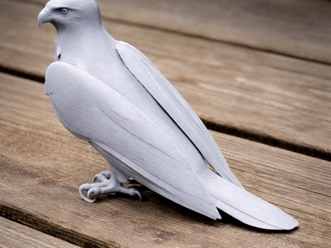 Brahminy Kite 3D Model