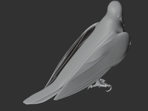 Brahminy Kite 3D Model