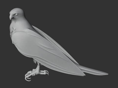 Brahminy Kite 3D Model