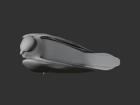 Brahminy Kite 3D Model