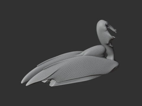 Brown Pelican 3D Model
