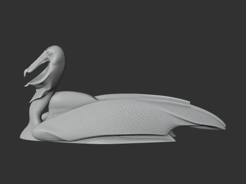 Brown Pelican 3D Model
