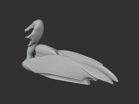 Brown Pelican 3D Model