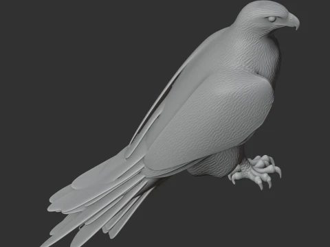 Ferruginous Hawk 3D Model