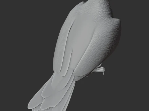 Ferruginous Hawk 3D Model