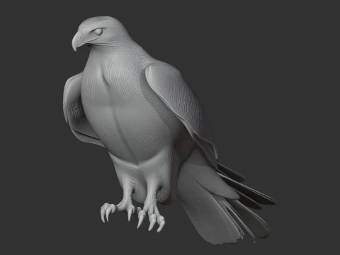 Ferruginous Hawk 3D Model