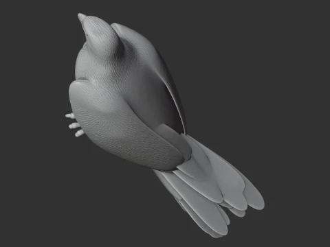 Ferruginous Hawk 3D Model