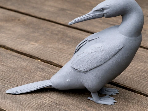Flugunf&auml;higer Kormoran 3D Modell