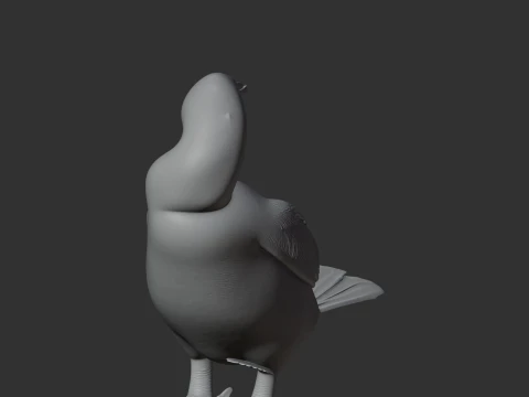 Flightless Cormorant 3D Model
