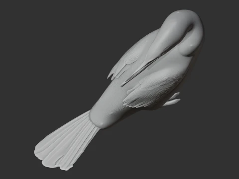 Flightless Cormorant 3D Model
