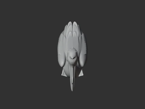 Great White Pelican 3D Model