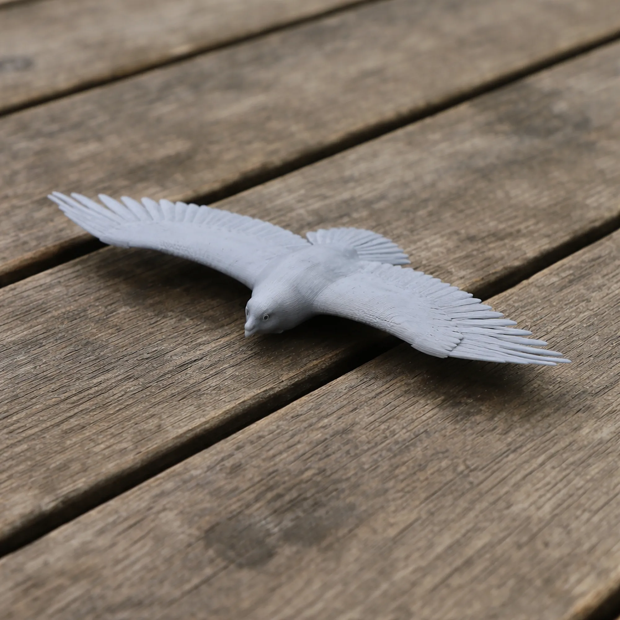 Greater Spotted Eagle 3D Model .c4d .max .obj .3ds .fbx .stl .blend 