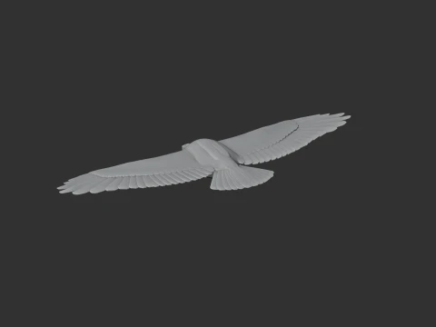 Greater Spotted Eagle 3D Model