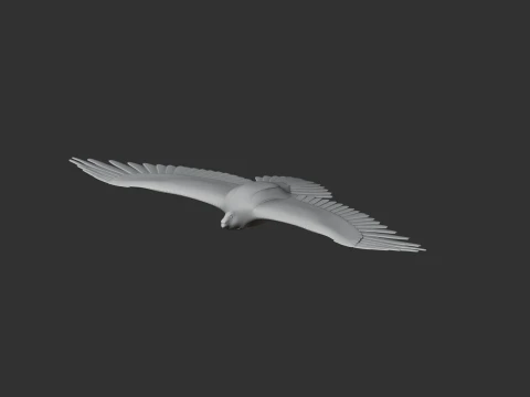 Greater Spotted Eagle 3D Model