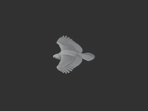 Greater Spotted Eagle 3D Model
