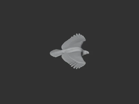 Greater Spotted Eagle 3D Model