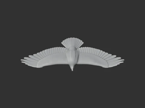 Greater Spotted Eagle 3D Model