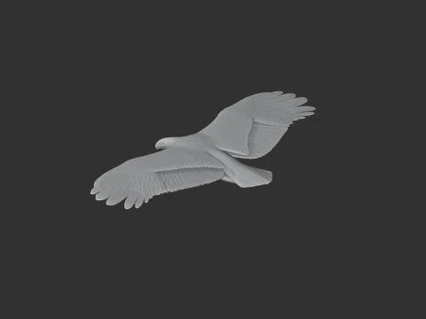 Griffon Vulture 3D Model