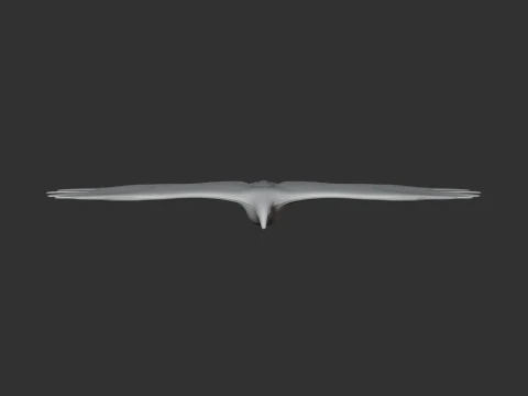 Griffon Vulture 3D Model
