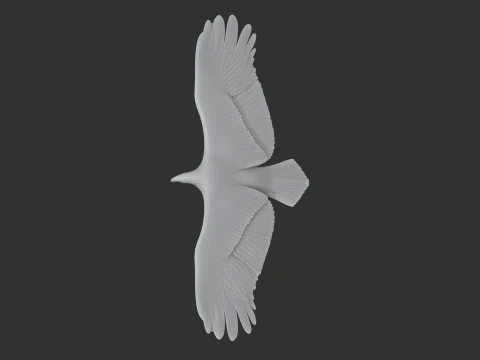 Griffon Vulture 3D Model