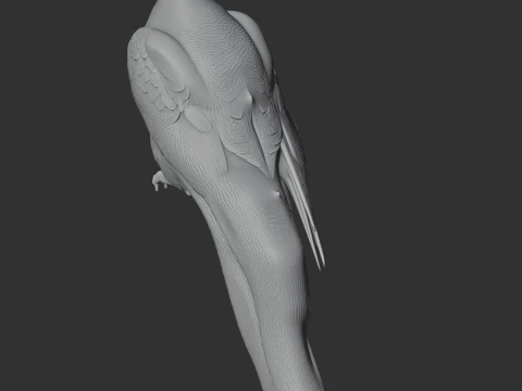 Gyrfalcon 3D Model