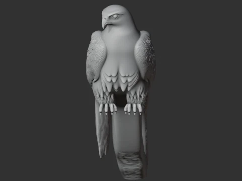 Gyrfalcon 3D Model