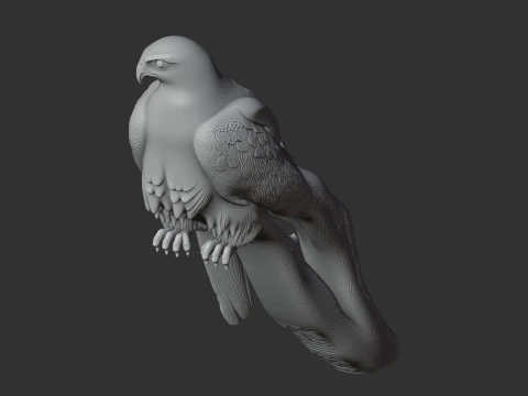 Gyrfalcon 3D Model
