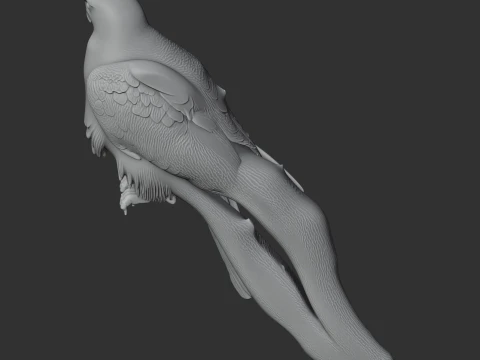 Gyrfalcon 3D Model
