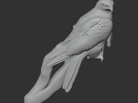 Gyrfalcon 3D Model