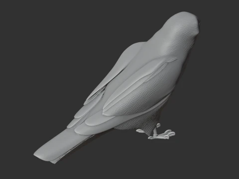 Hen Harrier 3D Model