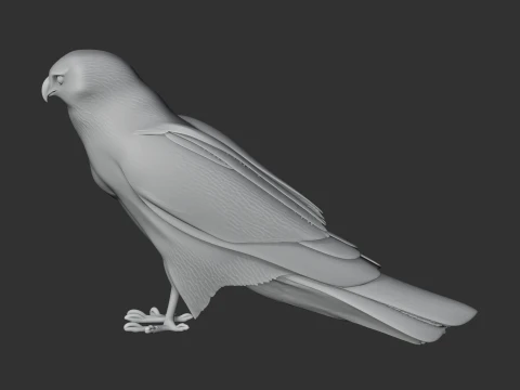 Hen Harrier 3D Model